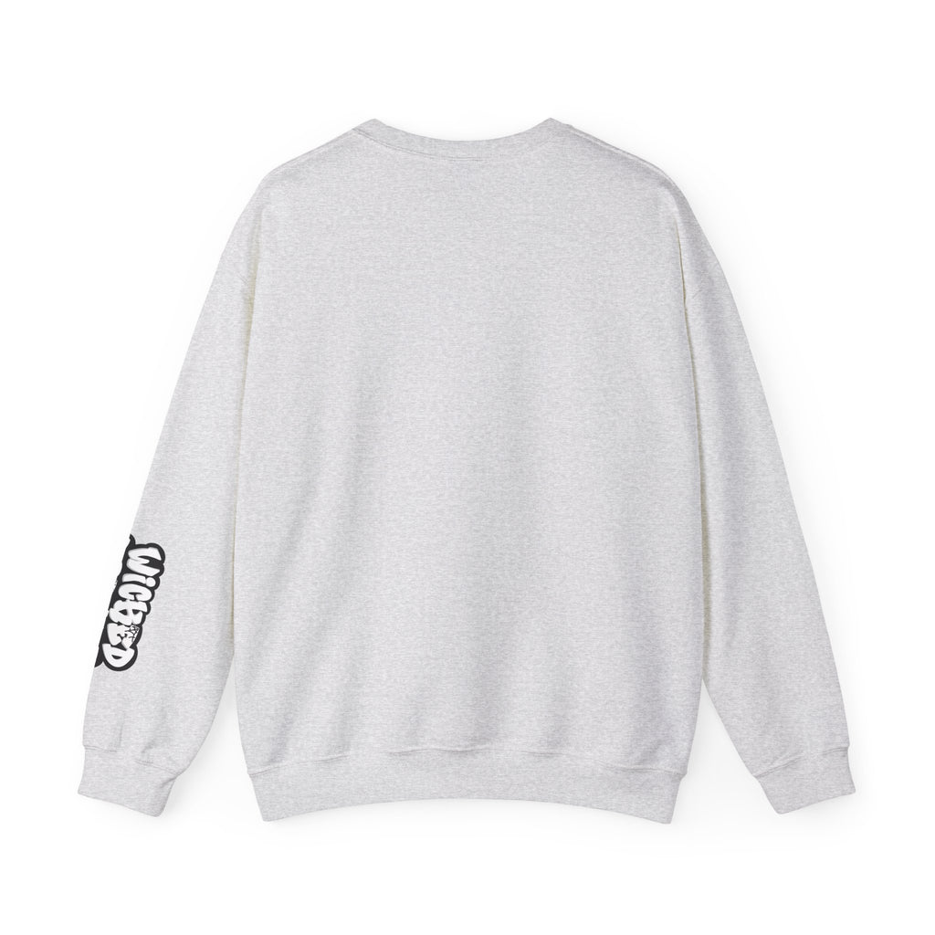 Stylish Unisex Crewneck Sweatshirt, Aesthetic Fashion, Gift for Her, Casual Wear, Cozy Outfit